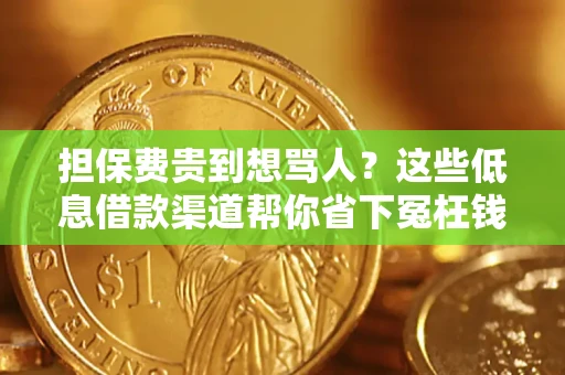 北京担保费贵到想骂人？这些低息借款渠道帮你省下冤枉钱