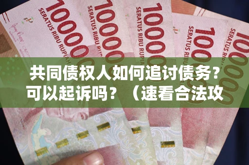 北京共同债权人如何追讨债务？可以起诉吗？（速看合法攻略）